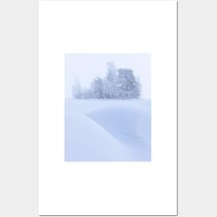 Small forest island at winter Posters and Art